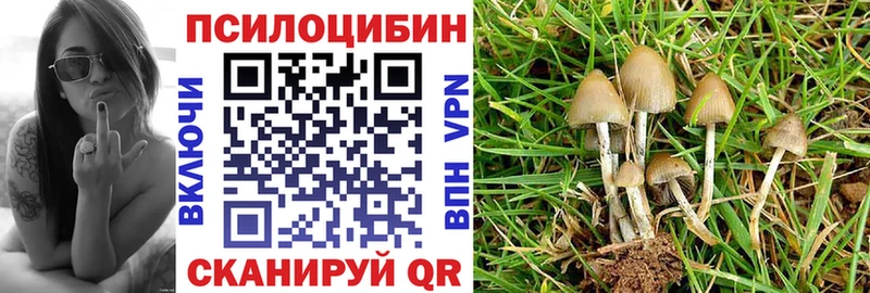 Псилоцибиновые грибы мухоморы  Купить закладки  Вихоревка 