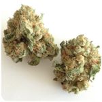 Шишки "White Widow"  (Белая вдова)  Гидропоника -  Бошка VHQ в Вихоревке